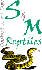 newsmrep.GIF - 66804 Bytes